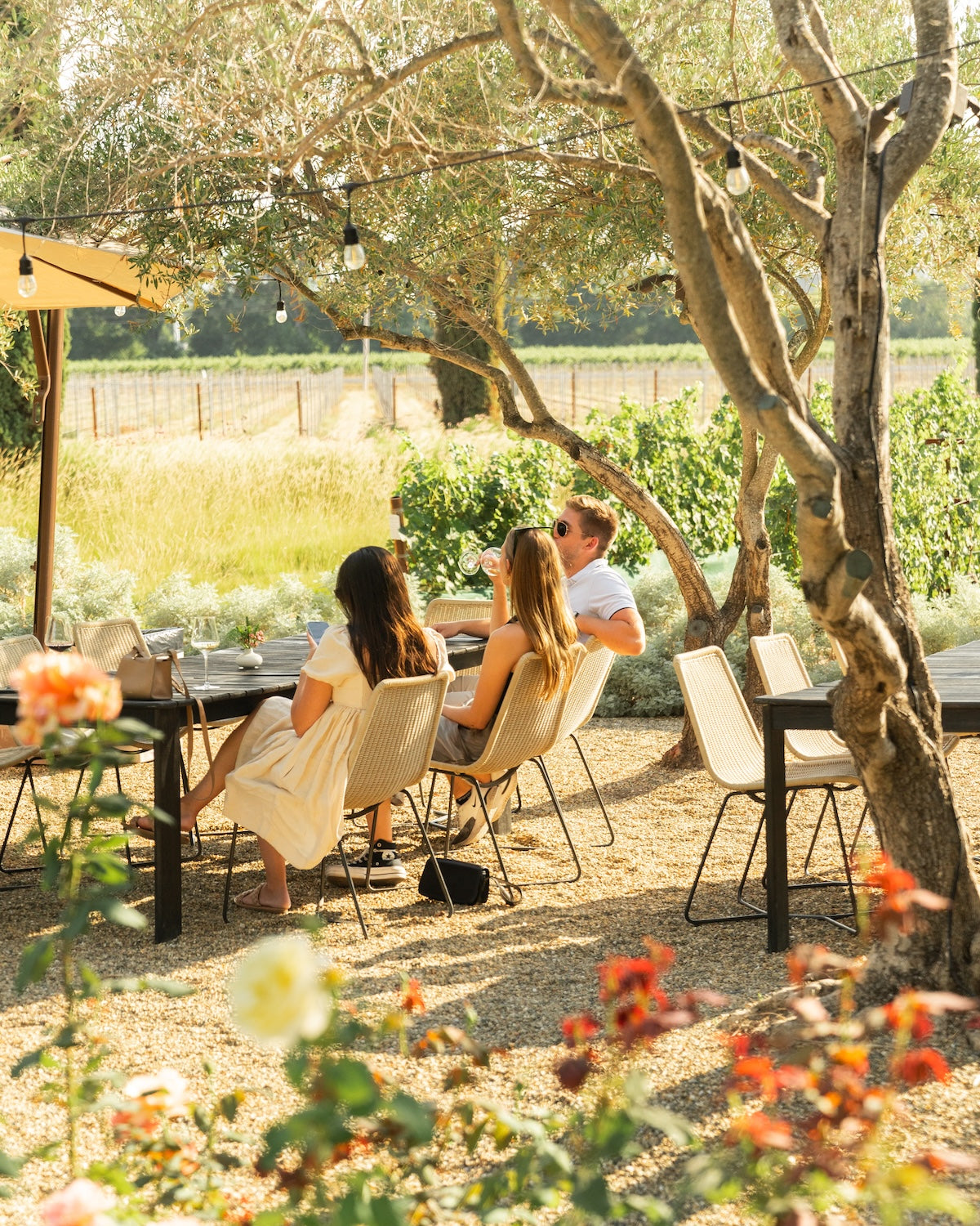 Walk-In Tastings in Napa: Eight Things to Know for the Spontaneous Traveler