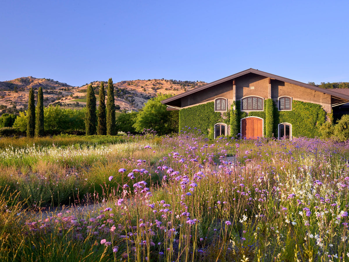 Clos du Val, the Welcome Vineyard to Stags Leap District