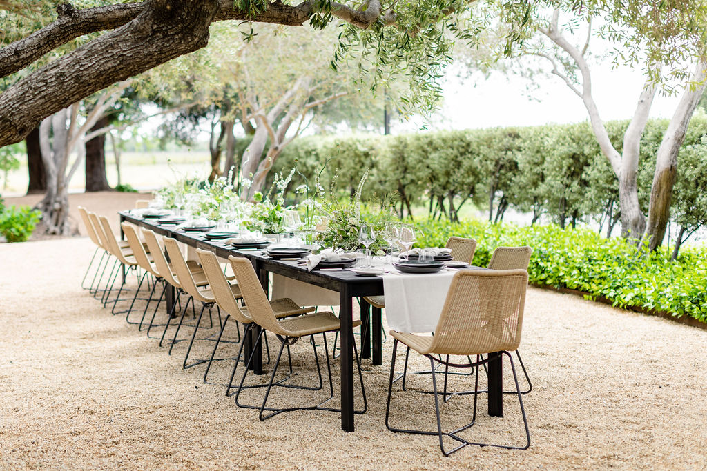 Olive Grove